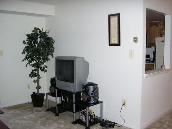 adarda profile photo