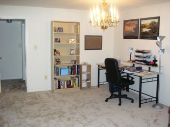 adarda profile photo