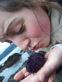 idolsbeefy profile photo