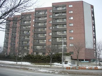 craezam profile photo