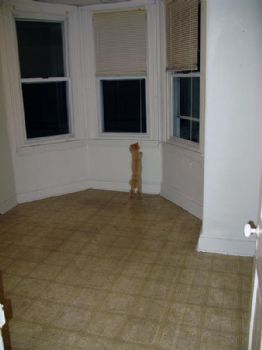 CatharineSt profile photo