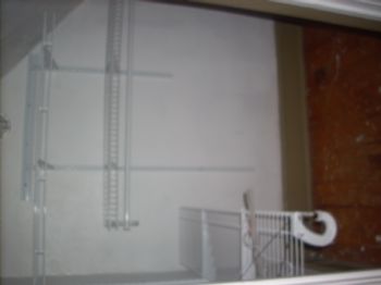 ginacarmenad profile photo