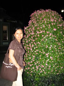 dandellion profile photo