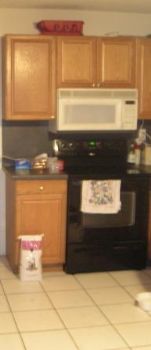 roberttapp profile photo