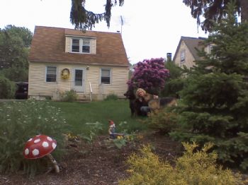 freebird79 profile photo