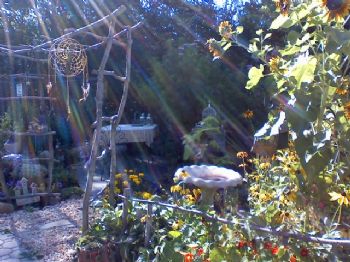 freebird79 profile photo