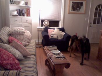 freebird79 profile photo