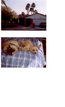 melody5969 profile photo