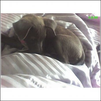 Kami08 profile photo