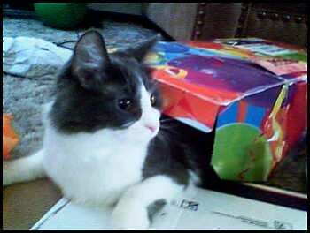 Marisha profile photo