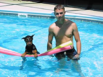 piiperpilot profile photo