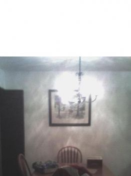 shorty87 profile photo