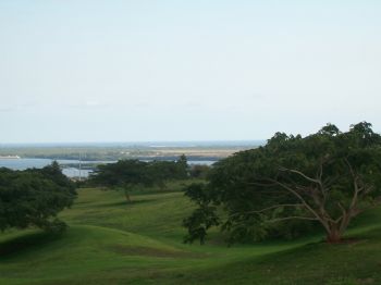 branhawaii profile photo