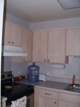 branhawaii profile photo