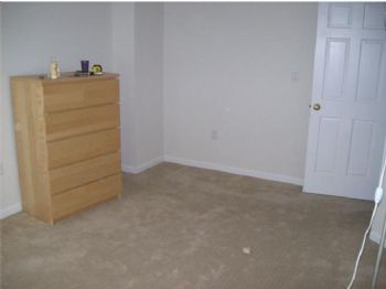 westbury5 profile photo