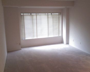 ayomacro profile photo