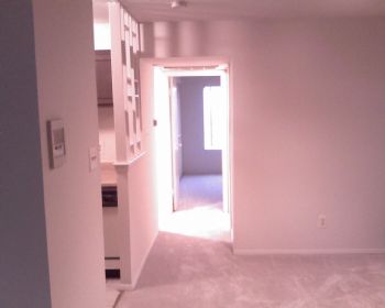 ayomacro profile photo