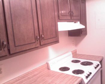 ayomacro profile photo