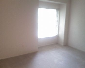 ayomacro profile photo