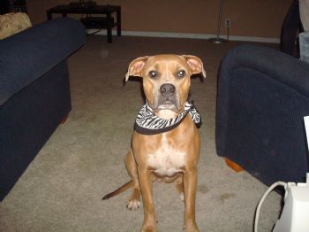 kayla_girl profile photo