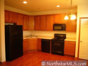 Shaneram profile photo