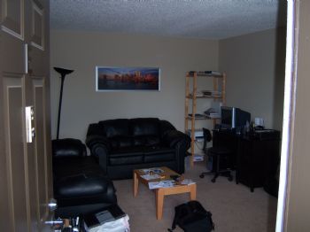 dave123456 profile photo