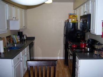 dave123456 profile photo