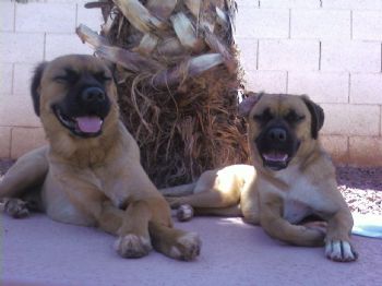 nwells128885 profile photo