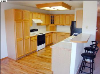 andrewfortco profile photo