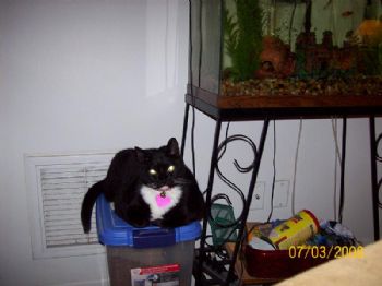 ladeebug1020 profile photo