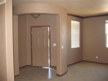 akanetendo profile photo