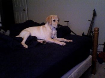 gregd86 profile photo