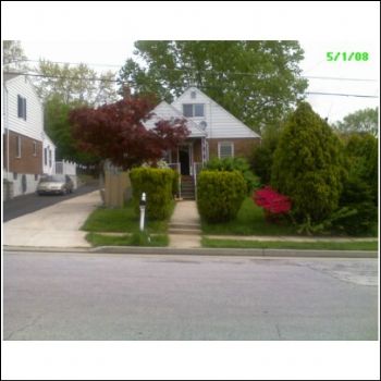 auggie3141 profile photo