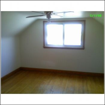 auggie3141 profile photo