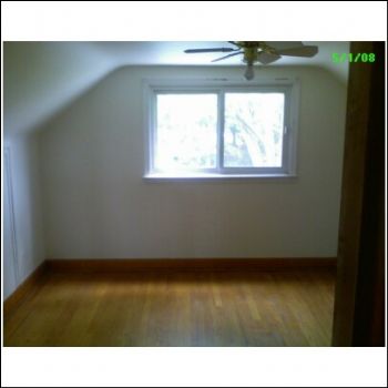 auggie3141 profile photo