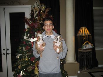 mgcarrillo profile photo