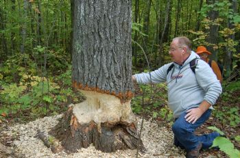 jamesrs profile photo