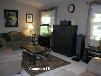 mattae72 profile photo