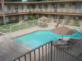 dinapina profile photo