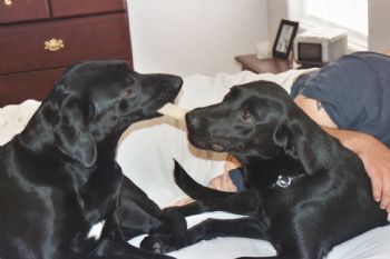 AlejandraR profile photo