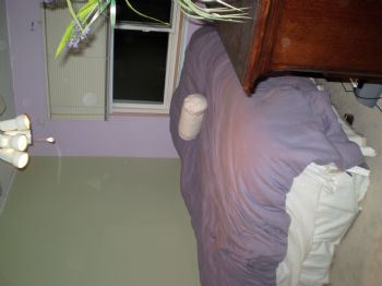 rosenb47 profile photo