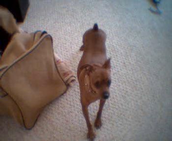 easygoinz profile photo