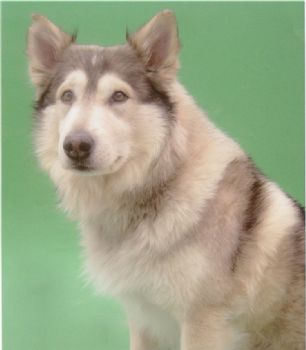 Raven22 profile photo