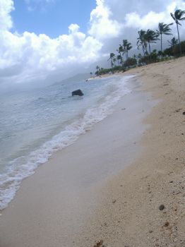 amanda84 profile photo