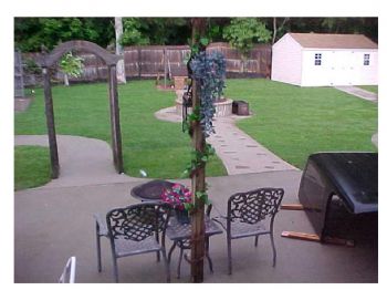 ladybea67 profile photo