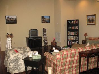 liztu08 profile photo