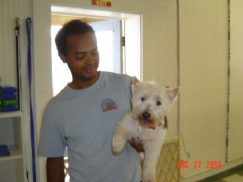 flyfur profile photo