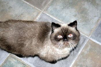 bmink1 profile photo