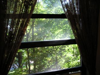 dschaff profile photo