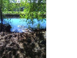 badhershey profile photo